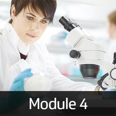 module.4-400x400.jpg Image