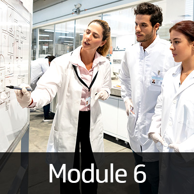 module.6-400x400.jpg Image